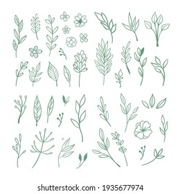 Floral doodle design elements. Hand drawn decorative leaves and wreaths. Flower ornament dividers. Tree branches with leaf and flowers.