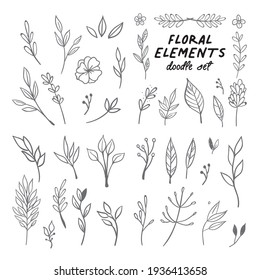 Floral doodle design elements. Hand drawn decorative leaves and wreaths. Flower ornament dividers. Tree branches with leaf and flowers.