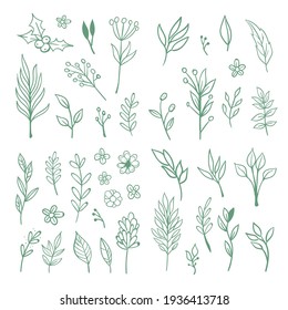 Floral doodle design elements. Hand drawn decorative leaves and wreaths. Flower ornament dividers. Tree branches with leaf and flowers.