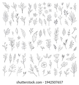 Elementos de diseño de doodles florales. Hojas y coronas decorativas dibujadas a mano. Diferentes ornamentos de flores. Ramas de árbol con hojas y flores.