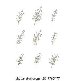 Elementos de diseño de doodles florales. Hojas decorativas dibujadas a mano. Ilustración vectorial de flores aislada en fondo blanco. 