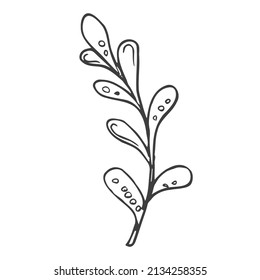 Floral doodle modern design elements. Hand drawn decorative leaves and wreaths. Flower ornament dividers. Tree branches with leaf and flowers.