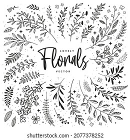 Elementos de diseño rústico con doodle floral. Esbozo y lineas de plantas de boho. Colección botánica vectorial de ramas y flores para proyectos DIY, invitaciones, tarjetas.