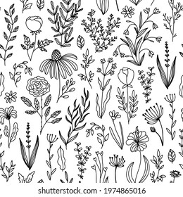 Floral doodle seamless pattern. Vector hand-drawn illustration of flowers and herbs. Thin line sketch