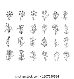 Floral doodle set hand drawn ink graphic monochrome art design elements stock vector illustration for web, for print