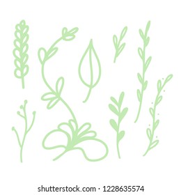 Floral doodle set. Vector hand drawn botanical illustration. Isolated objects on white