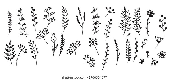 Floral doodle set. Vector hand-drawn botanical illustration isolated on white background.