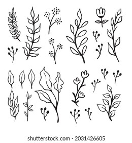 Floral doodles graphic elements vector set. Flowers and plants hand drawn illustrations. 