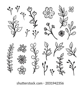 Blumendoodles grafische Elemente Vektorset. Blumen und Pflanzen, handgezeichnet Illustrationen. 