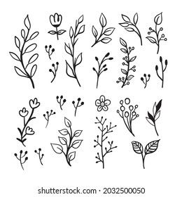 Floral doodles graphic elements vector set. Flowers and plants hand drawn illustrations. 