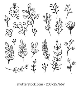 Floral doodles graphic elements vector set. Flowers and plants hand drawn illustrations. 