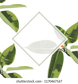 Floral elegant invite card design: tropical exotic green ficus leaves. Can be used as invitation card for wedding, birthday and other holiday and summer and spring background.