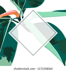 Floral elegant invite card design: tropical exotic blue ficus leaves. Can be used as invitation card for wedding, birthday and other holiday and summer and spring background.