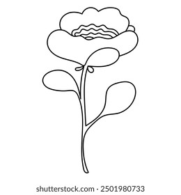 Floral element. Botanical vector illustration. 