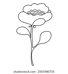 Floral element. Botanical vector illustration. 