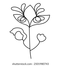 Floral element. Botanical vector illustration. 