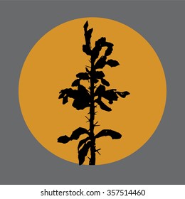 floral element cactus on orange circle