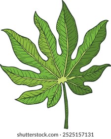 Floral element. Exotic plant leaf. Jungle botany