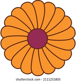 Floral element, simple flat vector illustration with colored chamomile flower, isolated on white background