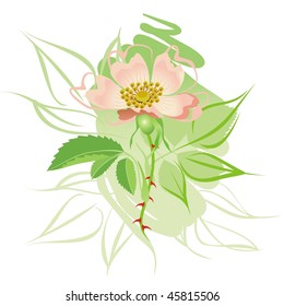 Floral element with sketchy  lines