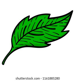 Floral element. Tree leaf. Plant isolated on white background. Vector illustration.