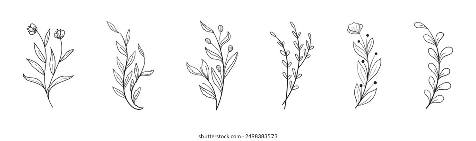 Floral element vector set. Flower outline collection.