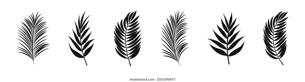 Floral element vector set. Flower silhouette collection.