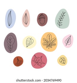 Floral elements with abstract shapes in vector. Abstract autumn leaves set.