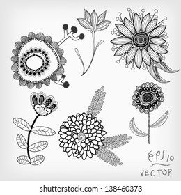 Floral Elements background for design, EPS10 Vector