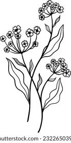 Elementos florales, elementos botánicos para el diseño, arte de línea de flores