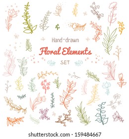 Floral elements with branches leaves and flowers