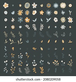 Clásicos de elementos florales. Ilustración vectorial de plantas