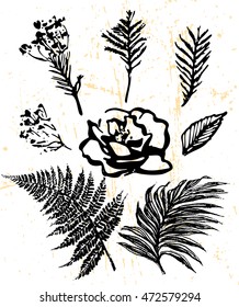 Floral elements collection