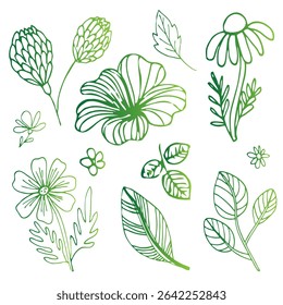 Floral Elements Collection in Green Vector