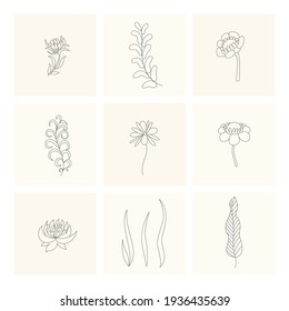 Floral elements. Collection of hand drawn plants. Set design elements in sketch style flowers and branches. Botanical icons