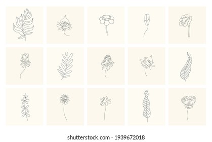 Floral elements. Collection of hand drawn plants. Set design elements in sketch style flowers and branches. Botanical icons