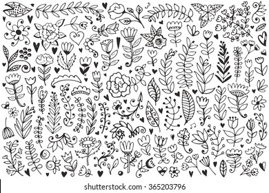 Floral elements collection. Vector vintage illustration. Hand drawn set.