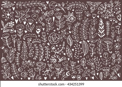 Floral elements collection. Vector vintage illustration. Hand drawn set.