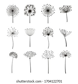 Floral Elements with dandelions for design. Vector illustration