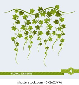 Floral Elements - Decorative Vines. Vector Illustration