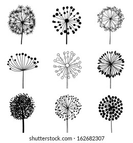 Elementos florais para design, dentes-de-leão. EPS10 Ilustração vetorial