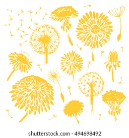 Floral elements for design, doodle ink dandelions. EPS10 Vector illustration
