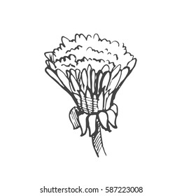 Floral elements for design, doodle ink dandelion