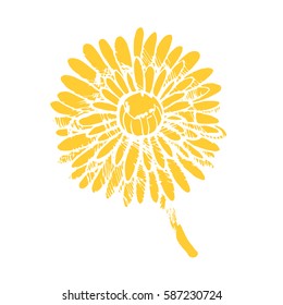 Floral elements for design, doodle ink dandelion