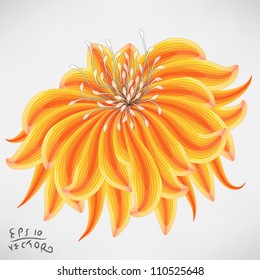 Floral Elements for design, EPS10 Vector background