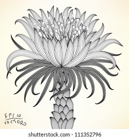 Floral Elements for design, EPS10 Vector background Background pattern