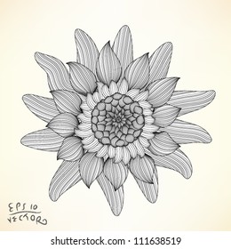 Floral Elements for design, EPS10 Vector background