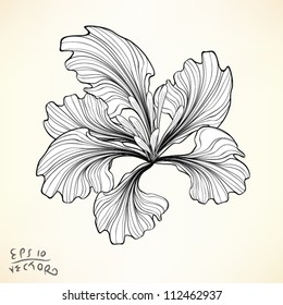 Floral Elements for design, EPS10 Vector background