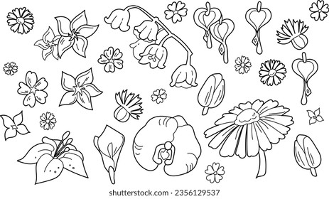 Floral elements for design. Flower set clipart. Linear graphic. Lineart flowers. Vector illustration.