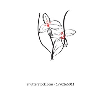 Floral elements for design. Vector. Isolated Hand drawn plants. Simple flower design on white background 